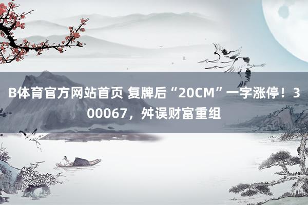 B体育官方网站首页 复牌后“20CM”一字涨停！300067，舛误财富重组