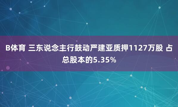 B体育 三东说念主行鼓动严建亚质押1127万股 占总股本的5.35%