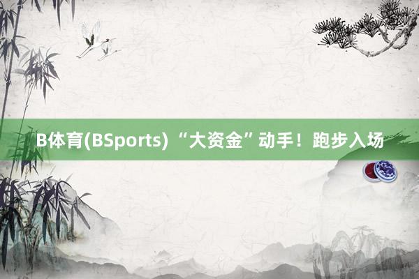 B体育(BSports) “大资金”动手！跑步入场