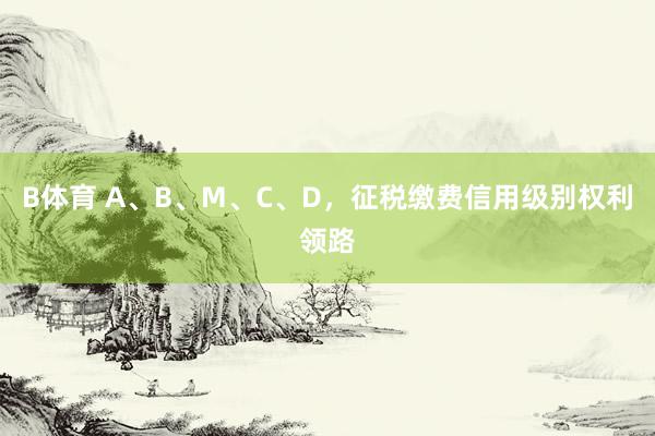 B体育 A、B、M、C、D，<a href=