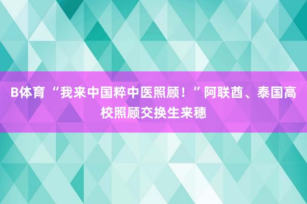 B体育 “我来中国粹中医照顾！”阿联酋、泰国高校照顾交换生来穗