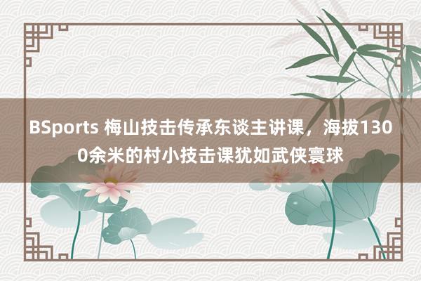 BSports 梅山技击传承东谈主讲课，海拔1300余米的村小技击课犹如武侠寰球