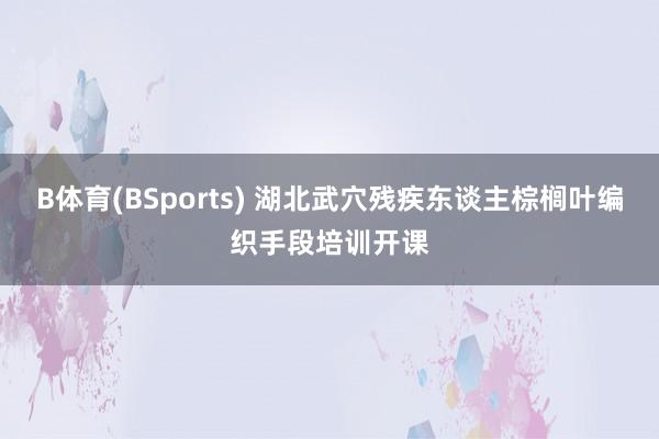B体育(BSports) 湖北武穴残疾东谈主棕榈叶编织手段培训开课