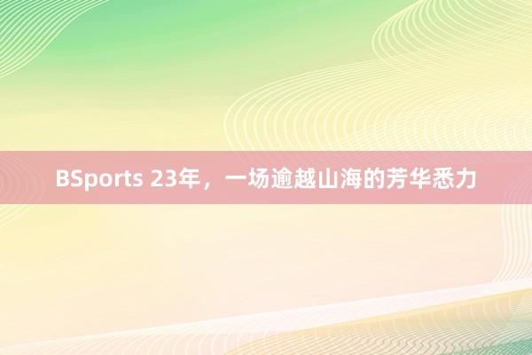 BSports 23年，一场逾越山海的芳华悉力