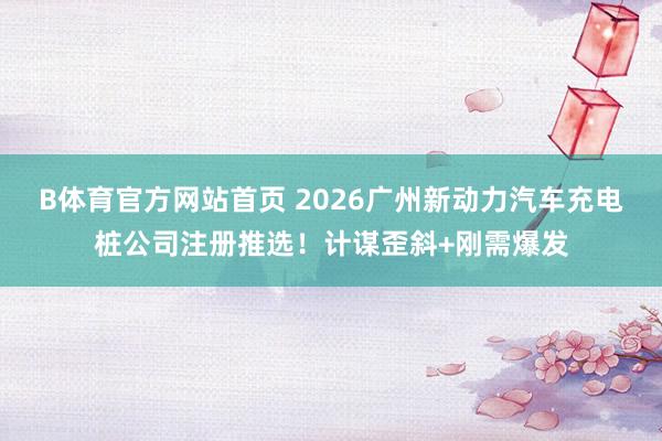 B体育官方网站首页 2026广州新动力汽车充电桩公司注册推选！计谋歪斜+刚需爆发